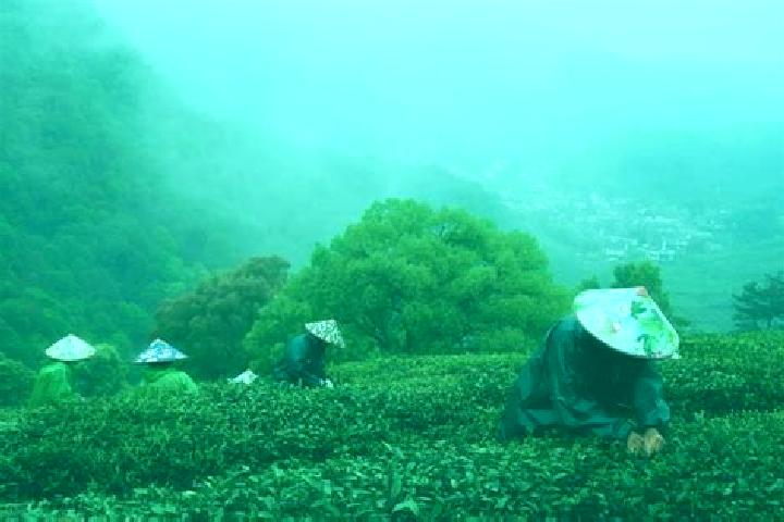 Piper, 35 — Escort in Chatian, China