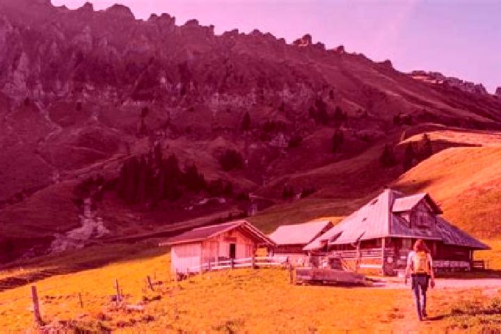 Piper, 35 — Escort in Entlebuch, Switzerland
