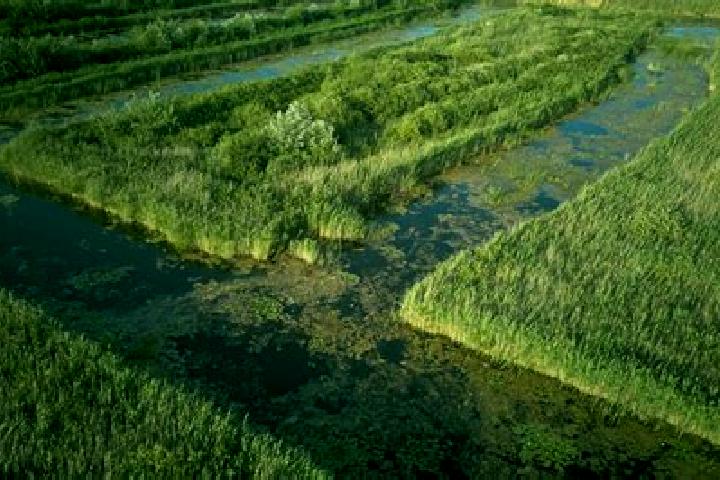 Piper, 35 — Escort in Garla-Mare, Romania