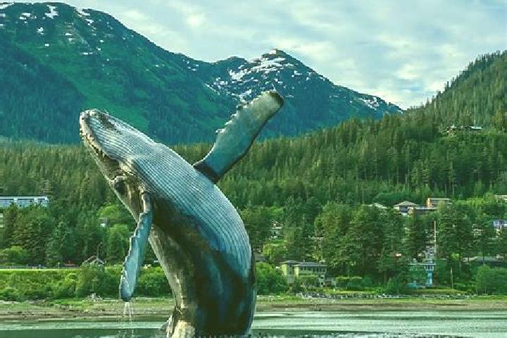 Piper, 35 — Escort in Juneau, United States
