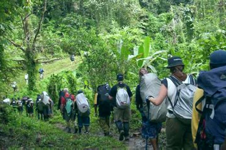 Piper, 35 — Escort in Kokoda, Papua New Guinea