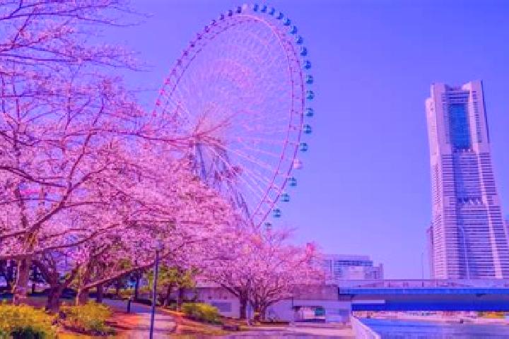 Piper, 35 — Escort in Minatomirai, Japan