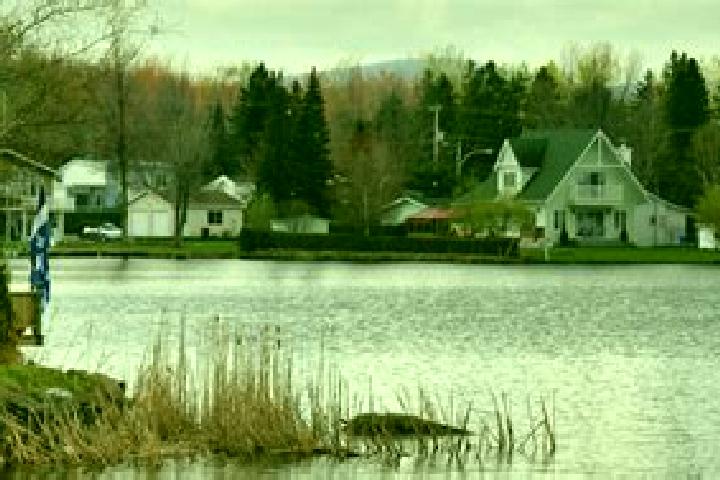 Piper, 35 — Escort in Roxton Pond, Canada