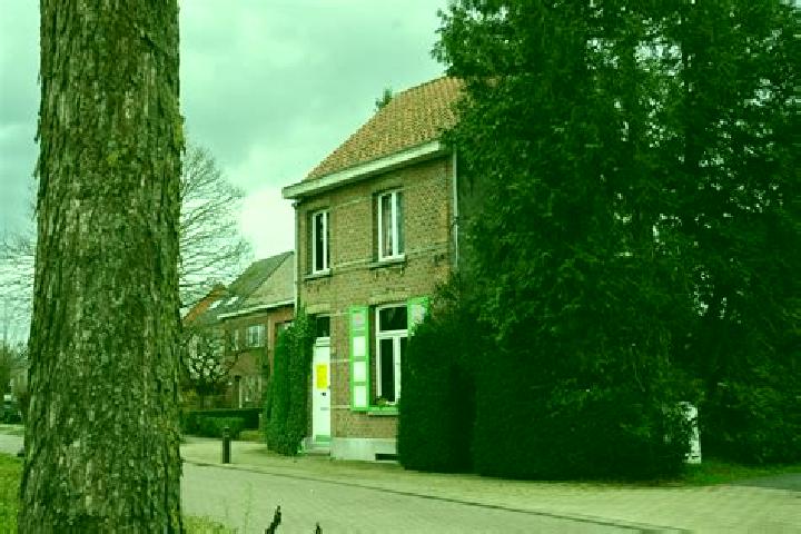 Piper, 35 — Escort in Vroenhoven, Belgium