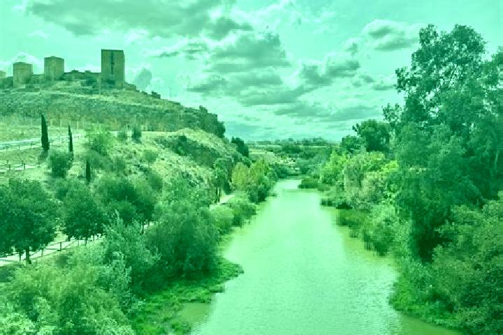 Piper, 36 — Escort in Alcala del Rio, Spain