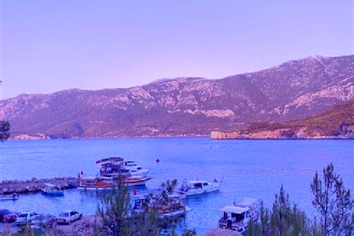 Piper, 36 — Escort in Camili, Turkey