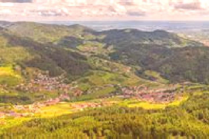 Piper, 36 — Escort in Konigsfeld im Schwarzwald, Germany