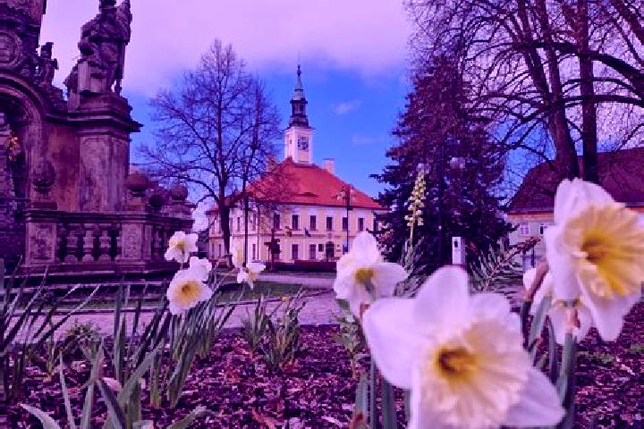 Piper, 36 — Escort in Okrouhlice, Czech Republic
