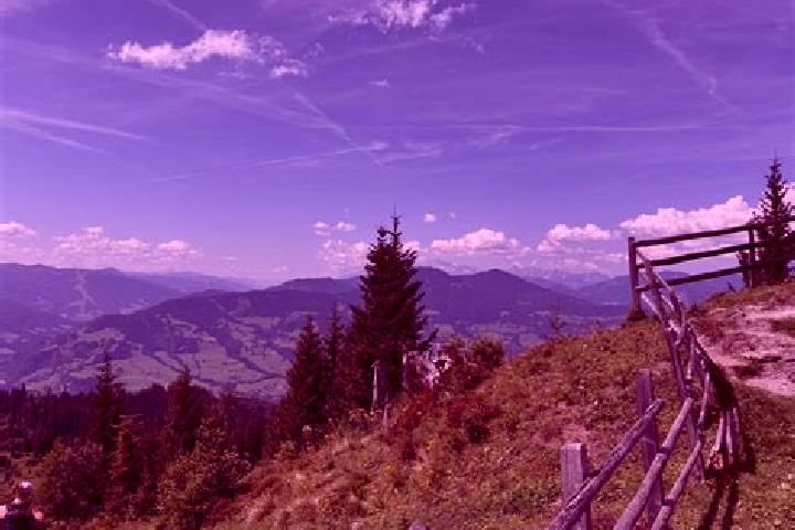 Piper, 36 — Escort in Schwarzach, Austria