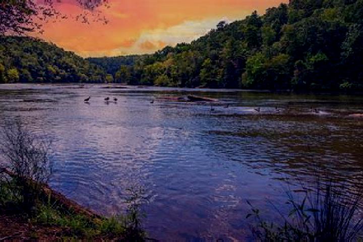 Piper, 37 — Escort in Chattahoochee Hills, United States