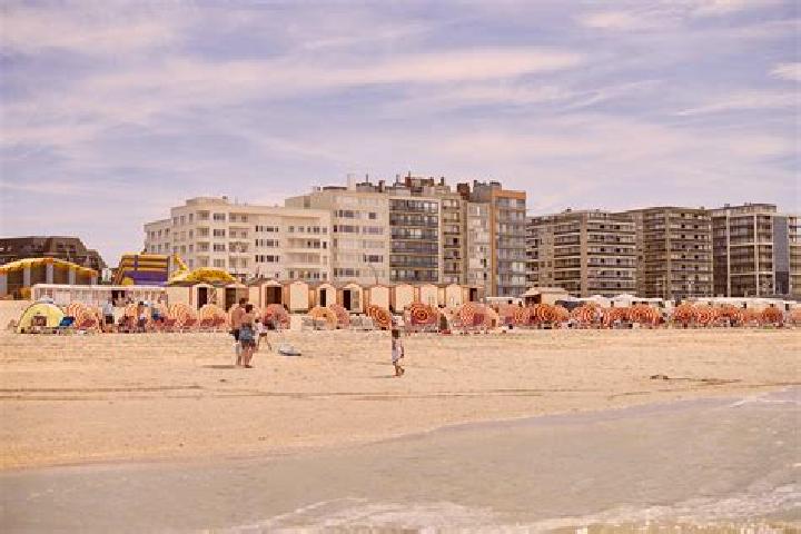 Piper, 37 — Escort in De Panne, Belgium