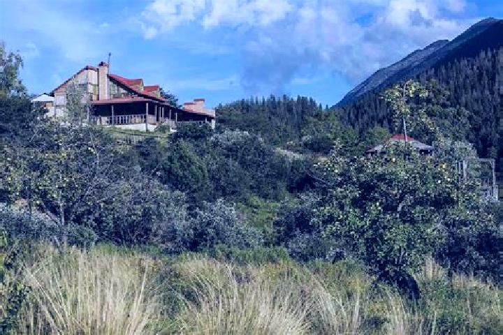 Piper, 37 — Escort in Loma de Yerbabuena, Mexico