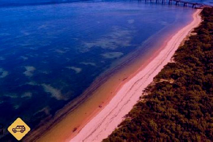 Piper, 37 — Escort in Phillip Bay, Australia