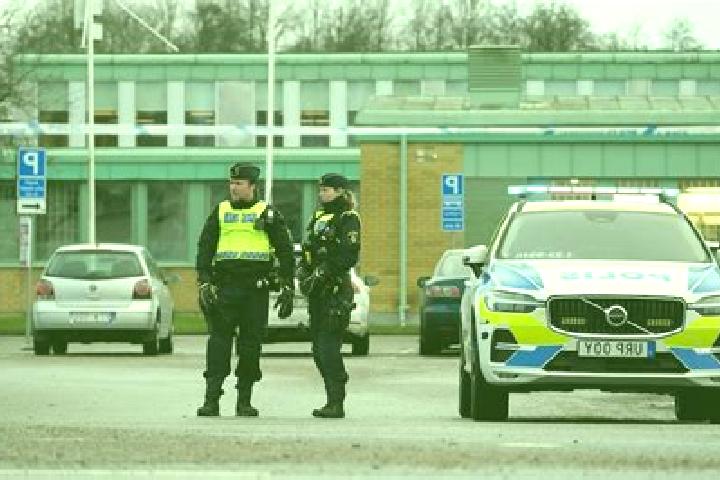 Piper, 37 — Escort in Rockneby, Sweden