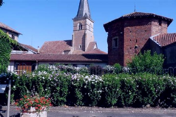 Piper, 37 — Escort in Saint-Trivier-de-Courtes, France