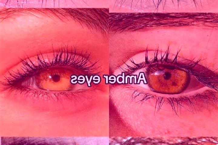 Piper, 38, a brunette amber-eyed middle eastern companion based in Nebolchi. Offering BDSM, GFE, Roleplay. Available for incall and outcall, day and evening ...