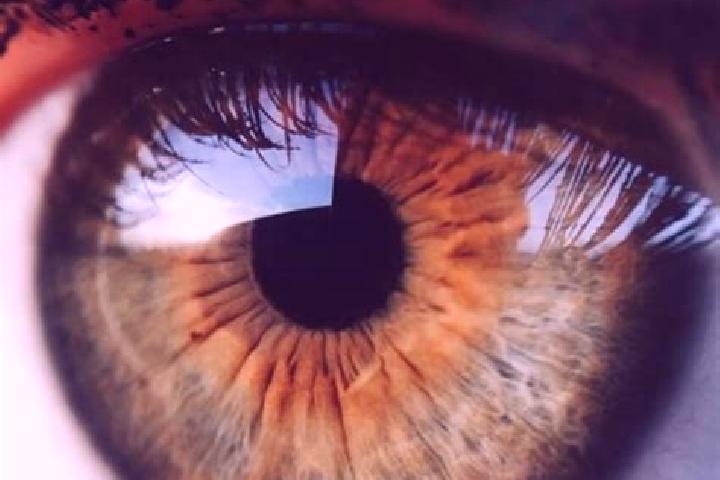 Piper, 38, a red hazel-eyed caucasian companion based in Neubrandenburg. Offering Duos, Striptease, BDSM, Domination. Available for incall and outcall, day a...