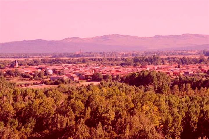 Piper, 38 — Escort in Castrillo de la Valduerna, Spain