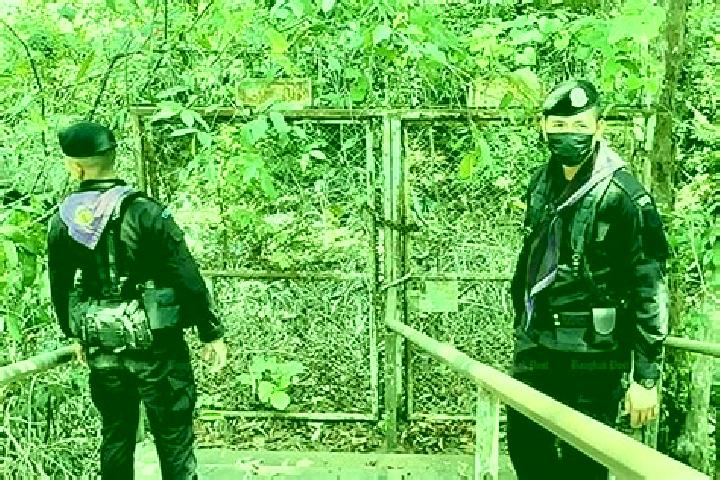 Piper, 38 — Escort in Kantharalak, Thailand