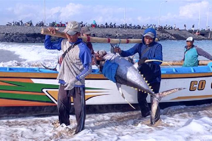 Piper, 38 — Escort in Lewoleba, Indonesia