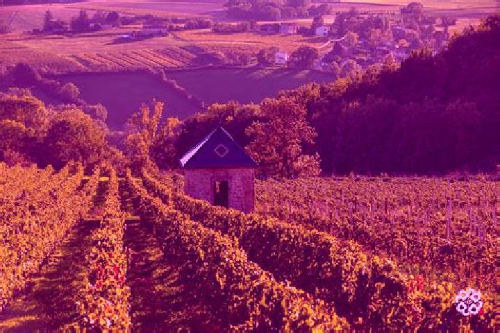 Piper, 38 — Escort in Liergues, France