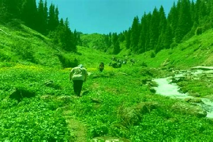 Piper, 38 — Escort in Terekti, Kazakhstan