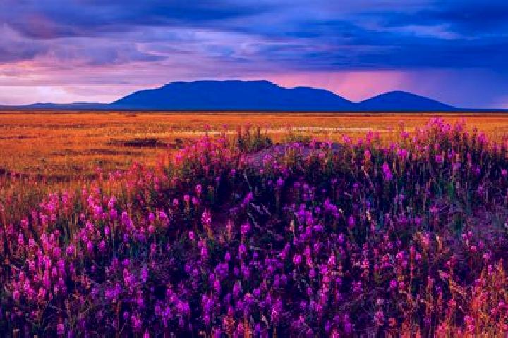 Piper, 38 — Escort in Tundra, India