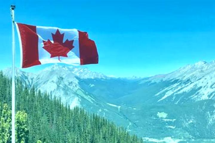 Piper, 39 — Escort in Dingwall, Canada
