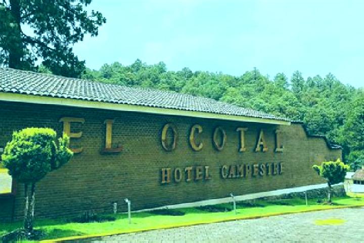 Piper, 39 — Escort in El Ocotal, Mexico