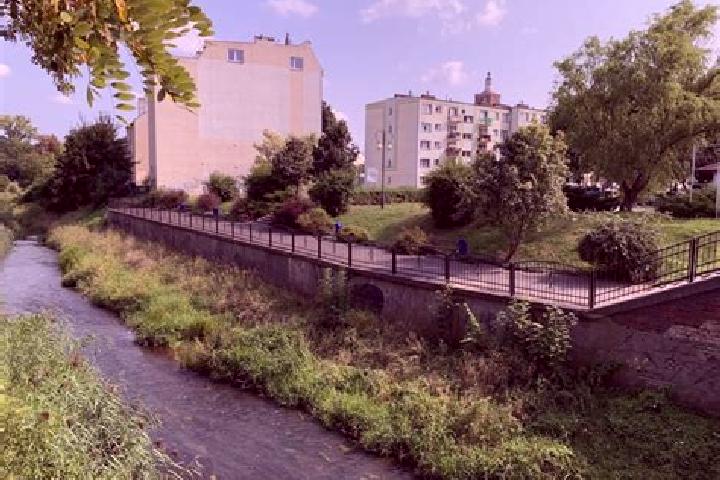 Piper, 39 — Escort in Gubin, Poland