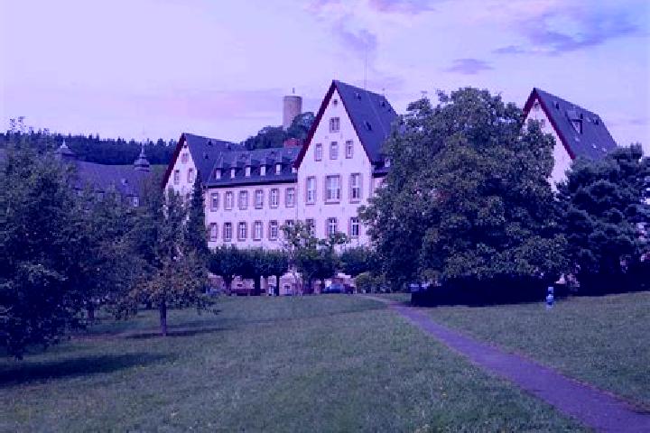 Piper, 39 — Escort in Kiedrich, Germany