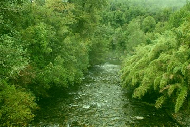 Piper, 39 — Escort in Puyehue, Chile