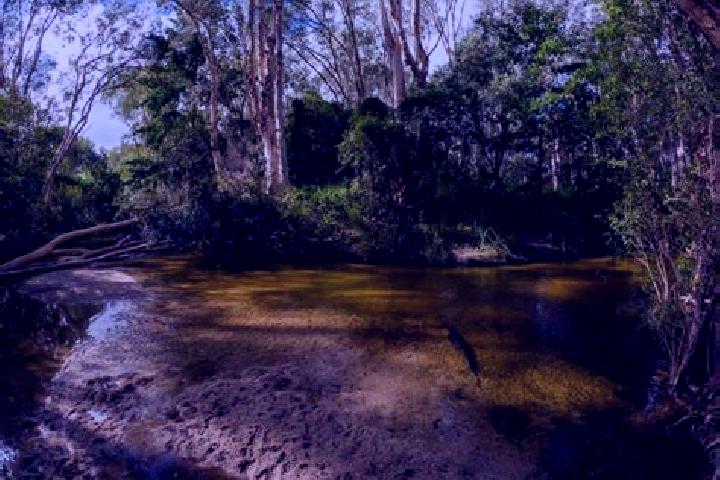 Piper, 39 — Escort in Reedy Creek, Australia