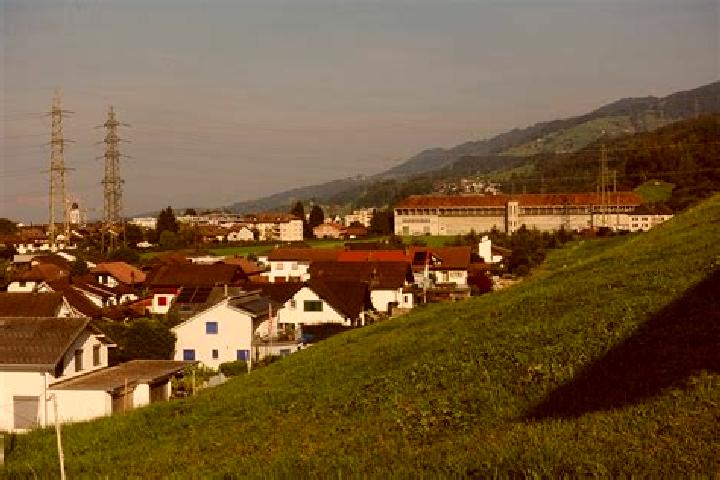 Piper, 39 — Escort in Siebnen, Switzerland