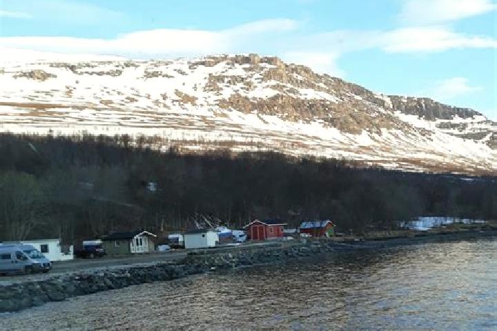 Piper, 39 — Escort in Storslett, Norway