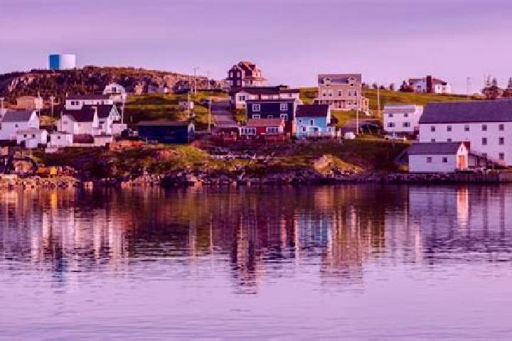 Piper, 39 — Escort in Trinity Bay North, Canada