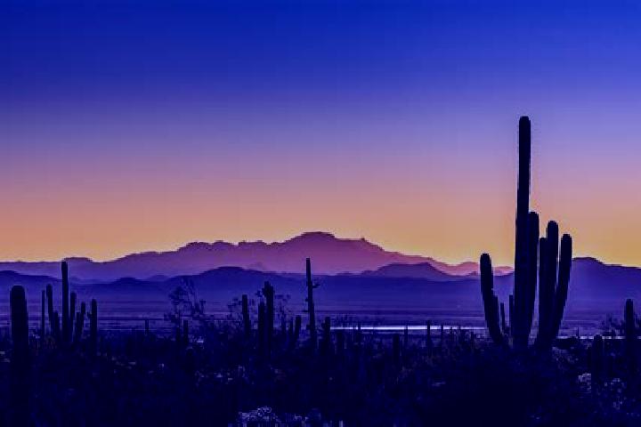 Piper, 39 — Escort in Tucson Estates, United States
