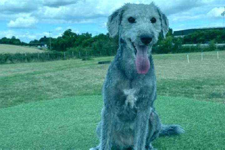 Quinn, 20, a blonde grey-eyed indian companion based in Belington. Offering A-Level, Deep French Kissing, Couples. Available for incall and outcall, day and ...