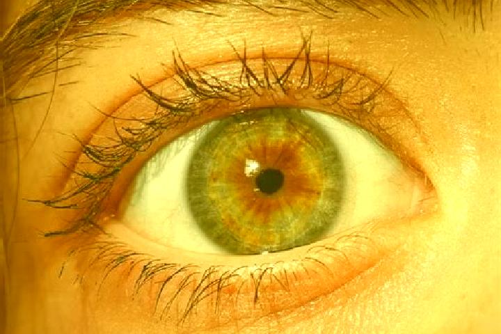 Quinn, 20, a red hazel-eyed european companion based in Olenevka. Offering Girlfriend Experience, Domination. Available for incall and outcall, overnight boo...