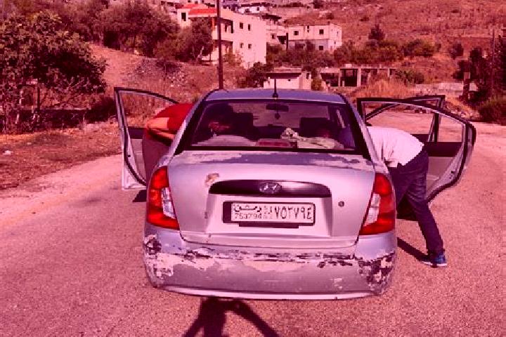 Quinn, 20 — Escort in An Nabk, Syria