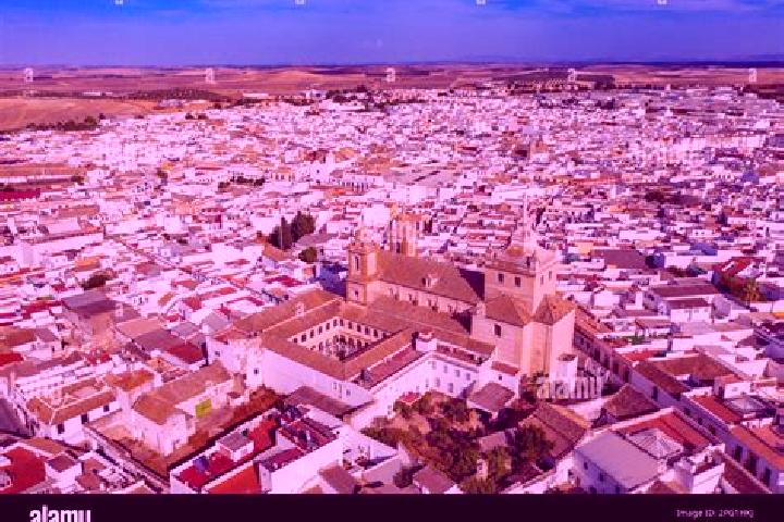 Quinn, 20 — Escort in Marchena, Spain