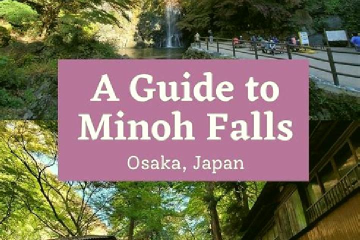 Quinn, 20 — Escort in Minoh, Japan