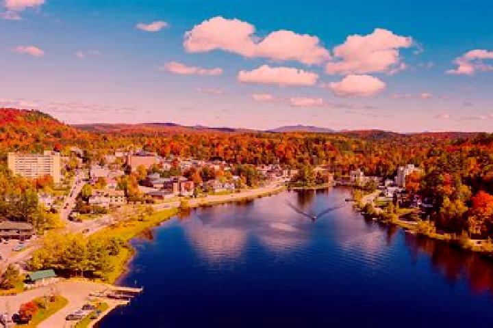 Quinn, 20 — Escort in Saranac, United States