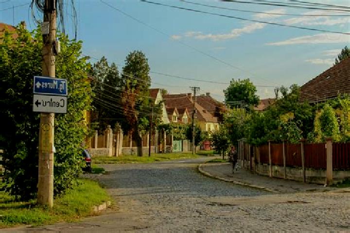 Quinn, 20 — Escort in Severinesti, Romania