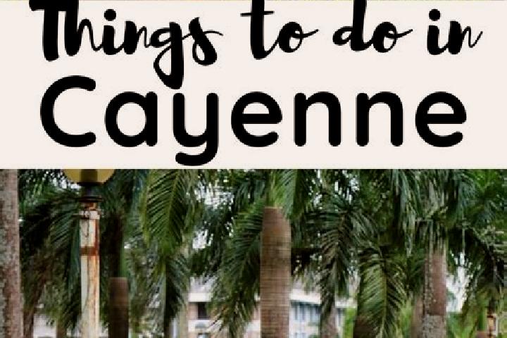 Quinn, 21 — Escort in Cayenne, French Guiana