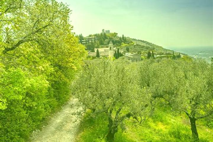Quinn, 21 — Escort in Cazzano di Tramigna, Italy