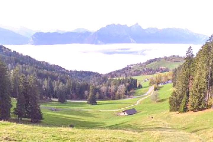 Quinn, 21 — Escort in Heiligenschwendi, Switzerland