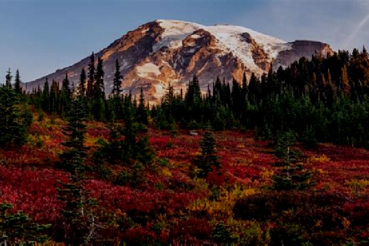 Quinn, 21 — Escort in Mount Rainier, United States