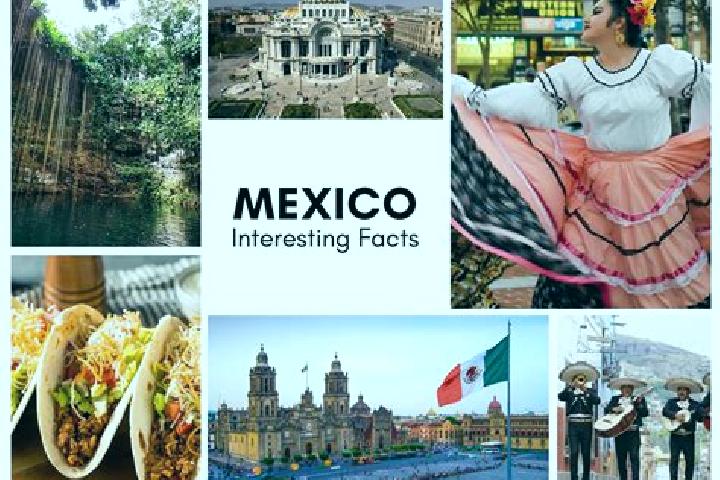 Quinn, 21 — Escort in Ozomatlan, Mexico