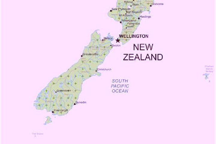 Quinn, 21 — Escort in Petone, New Zealand